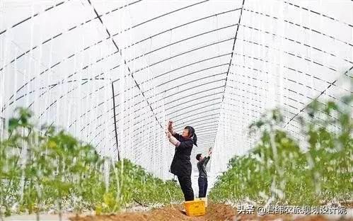 特种肉牛养殖技术_特种养殖肉牛技术视频_特种养殖前景