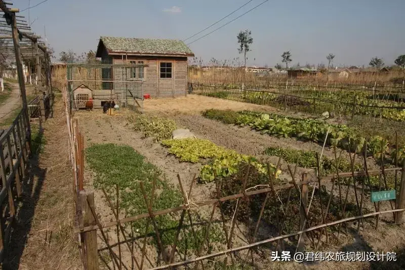 特种养殖肉牛技术视频_特种养殖前景_特种肉牛养殖技术