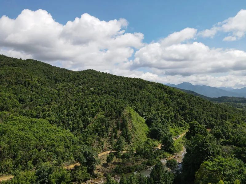 致富水果种植农业项目介绍_农村特色水果种植创业项目_农业种植水果致富项目