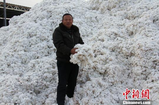 手工种植物_致富经手工种植技术_手工种植怎么做