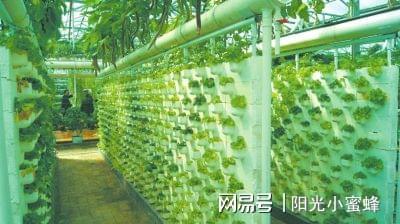 农业种植技术网站_种植农业技术包括哪些_农业技术种植