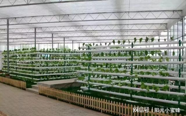 农业种植技术网站_农业技术种植_种植农业技术包括哪些