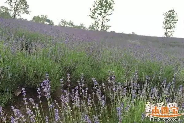 优质回答的100个经验_优秀回答_优质回答经验100字怎么写