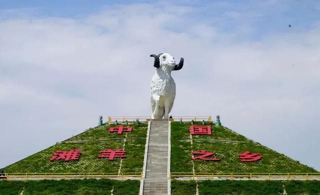 盐池滩羊怎么样_盐池滩羊养殖技术_盐池滩羊的正宗做法