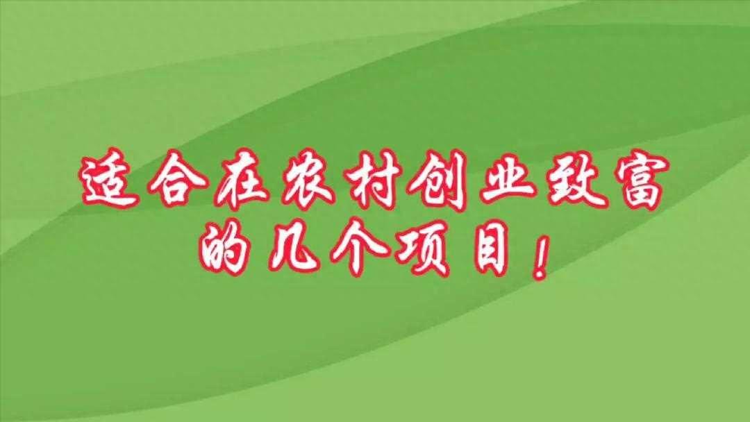 适合在农村创业致富的几个项目，你最看好哪一个?