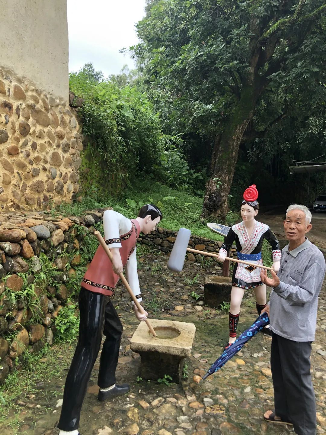 农村种植杨桃致富_致富种植农村杨桃怎么样_致富种植农村杨桃视频