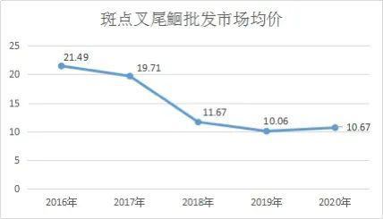 水花鲫鱼苗养殖技术_鲫鱼水花培育技术_鲫鱼水花鱼苗养殖技术