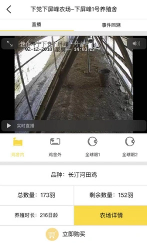 致富种植农村杨桃怎么样_农村种植杨桃致富_种杨桃赚钱吗