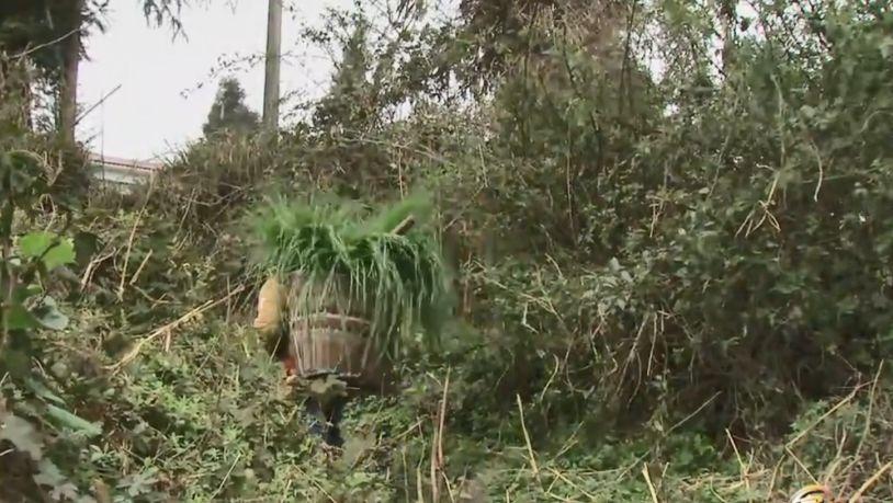 致富经养植皮毛类动物_致富皮毛动物类养植有哪些_皮毛养殖上市公司