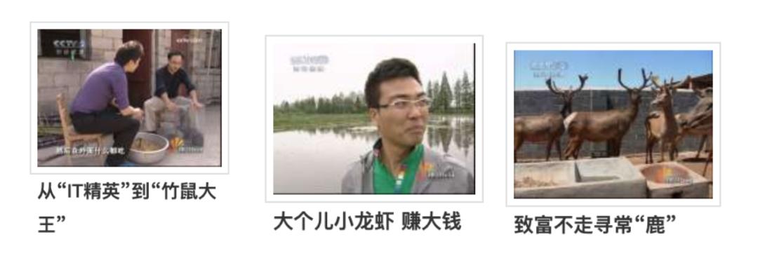 本地鸡养殖技术和市场价格_本地养鸡场_养殖本地鸡技术