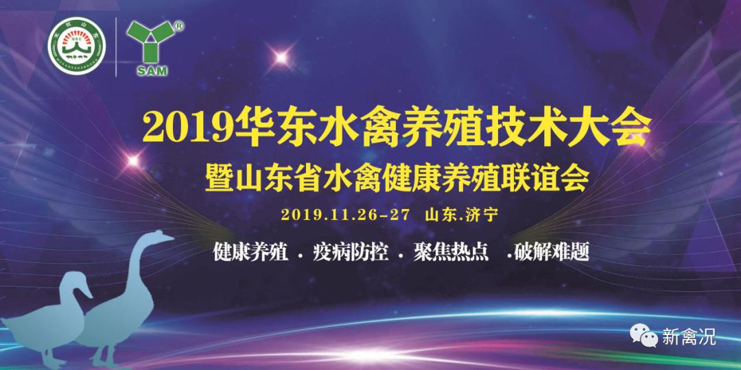 养殖鸡基地_养本地鸡技术视频_养殖本地鸡技术