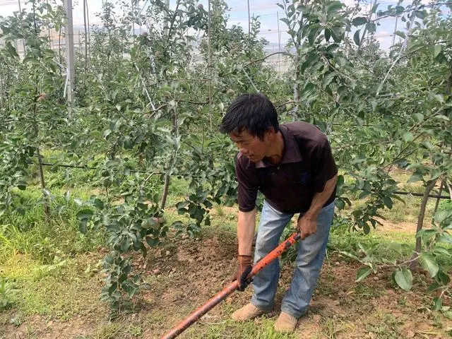 致富经火车专列卖土豆_致富经火车专列卖土豆_致富经火车专列卖土豆