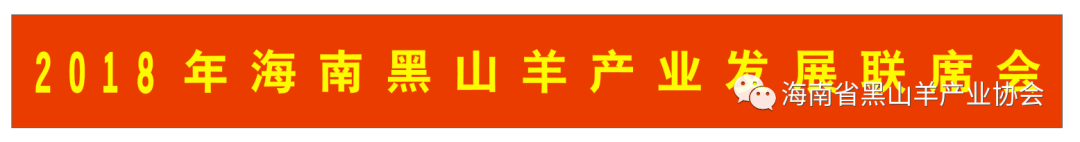 海南圈养黑山羊_海南黑山羊视频_致富经海南黑山羊