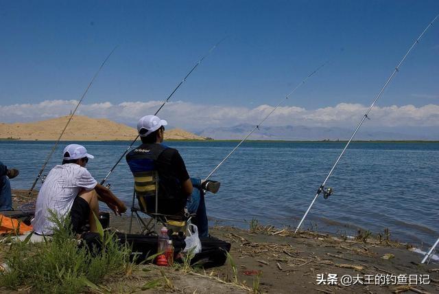 乌鱼养殖技术视频_乌鱼养殖水深要求_淡水乌鱼养殖技术