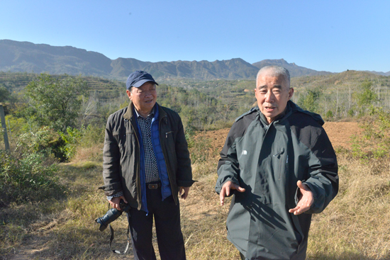 白术种植致富_种白术赚钱吗_2020年种植白术怎么样