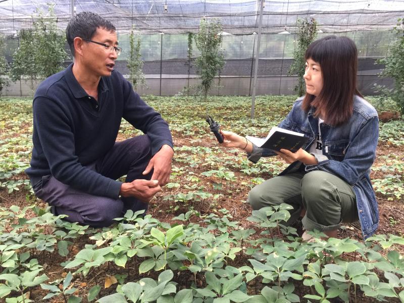 养蜜蜂致富_致富经3800蜜蜂_致富经蜜蜂养殖视频