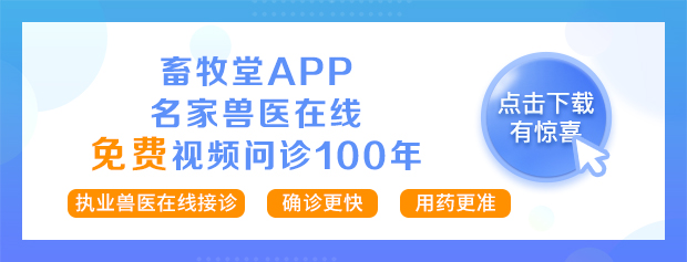 樱桃谷鸭子养殖利润_樱桃鸭养殖技术视频_樱桃鸭一般要养多久