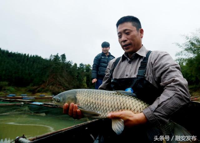 怎样致富致富_致富经cctv几_刀鳅养殖cctv致富