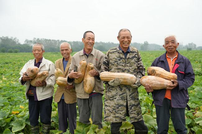 致富经养土鸡蛋视频_致富经蛋鸡养殖视频_生态鸡蛋致富经