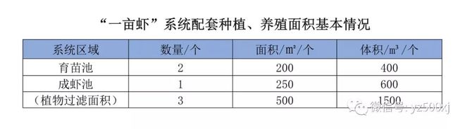 养殖最新对虾技术要求_养殖对虾技术大全_最新养殖对虾技术