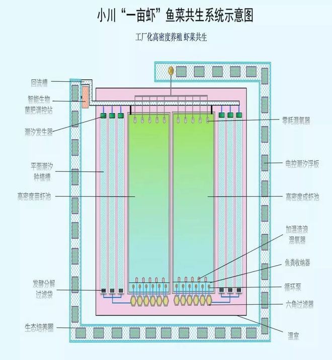 养殖对虾技术大全_养殖最新对虾技术要求_最新养殖对虾技术