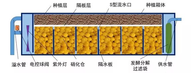 养殖对虾技术大全_养殖最新对虾技术要求_最新养殖对虾技术