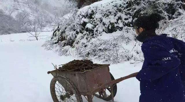 山区养殖什么致富项目_深山养殖户_深山养殖致富