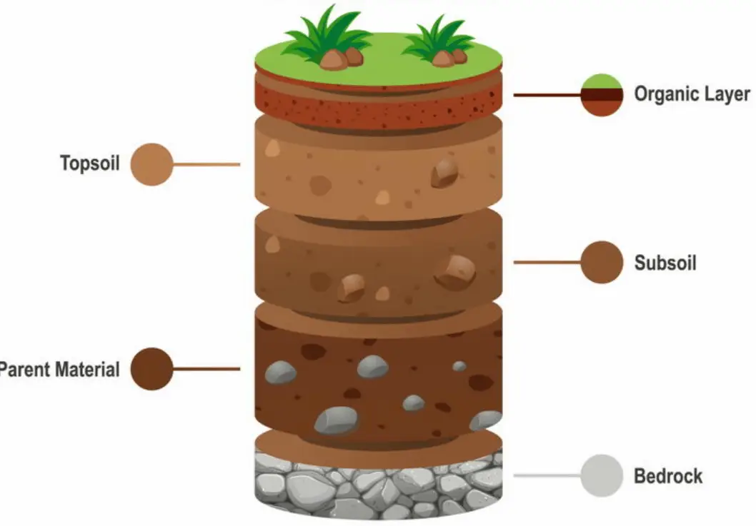 种植土地致富方向_种地致富项目_致富种植土地方向是什么