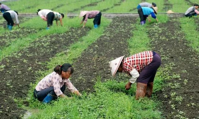 养殖致富经视频_致富经养殖业_你不知道的养殖致富经历