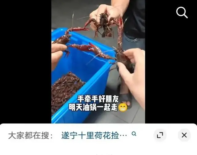 致富经小龙虾养殖视频播放_小龙虾致富路_致富经刘小龙龙虾