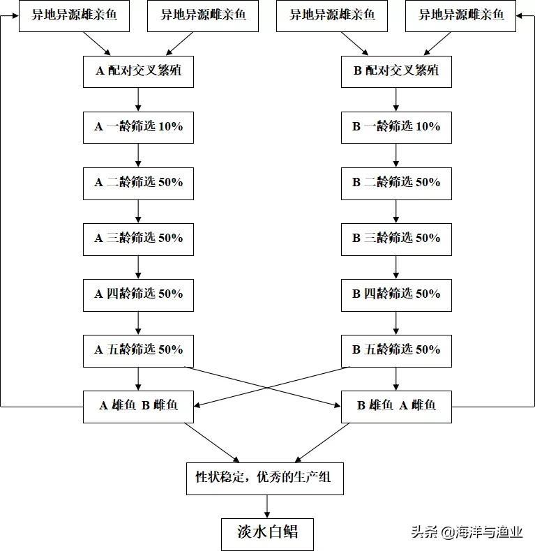 在粤东地区率先引进培育淡水白鲳——普宁市鱼苗养殖场