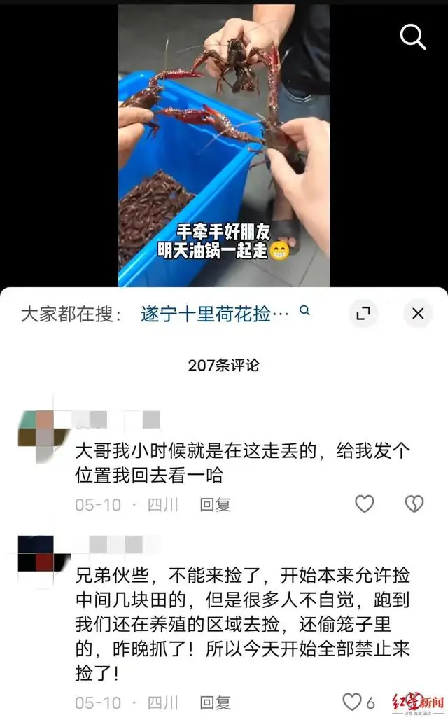 致富经小龙虾养殖视频播放_致富经小龙虾养殖技术_致富经刘小龙龙虾