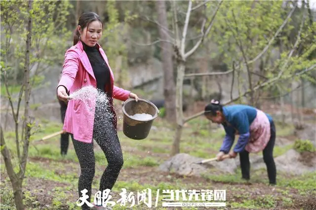 农村致富新项目种植业_农民特色种植致富_农民致富种植项目