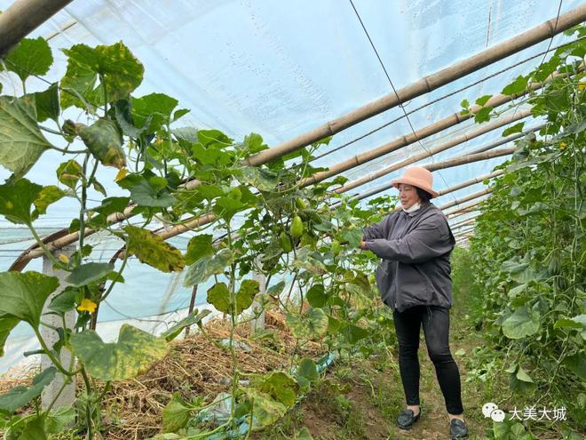 农民特色种植致富_致富种植农民特色农产品_种植致富新项目