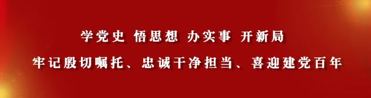 【发展壮大村集体经济】 任达乾：酿酒加养猪 走出特色致富路