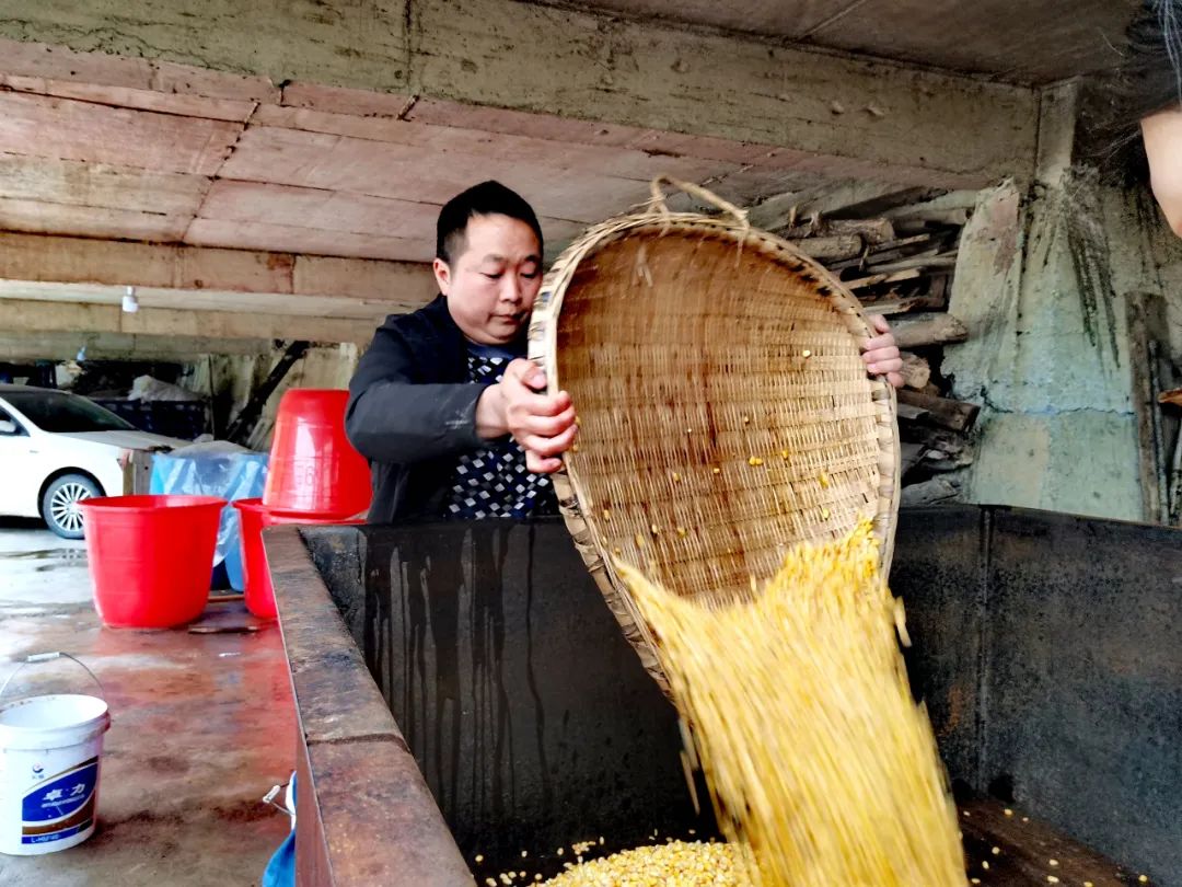 酿酒养殖致富_致富酿酒养殖场地址_致富经酿酒技术视频