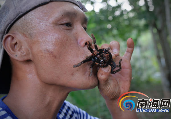 人工养殖的食物有哪些_人工养殖的人生_人工养殖致富宝贝