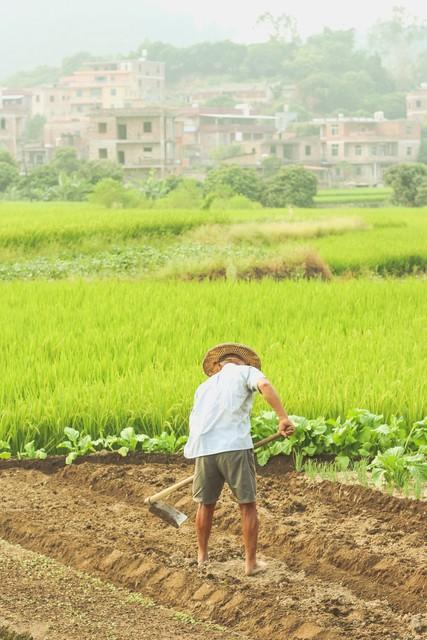 农民增收，除了种地还有啥门道？