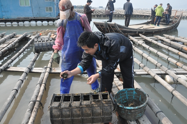 石头海参养殖致富_海参养殖赚钱吗_海参养殖利润怎么样