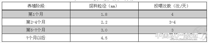 水产温棚养殖技术视频_水产养殖温棚建造图片_水产养殖温室大棚