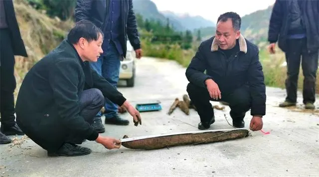 致富种植什么比较赚大钱_靠种植致富的农民_靠什么种植致富