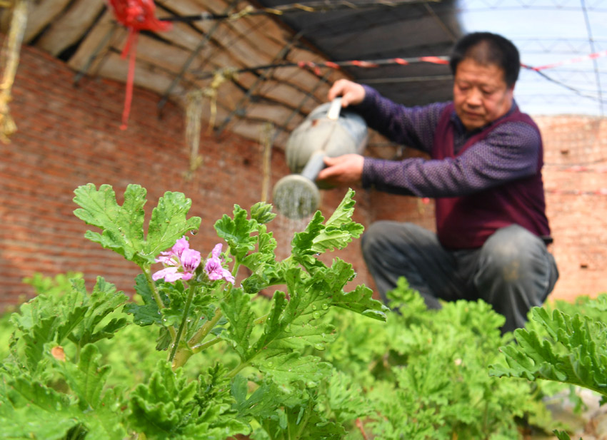 土壤种植致富之门_种地土壤_土壤种植