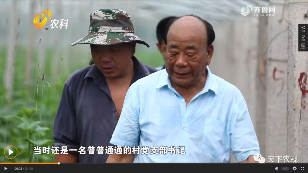 温室香椿芽种植_温室香椿亩种植多少棵_温室香椿种植技术视频