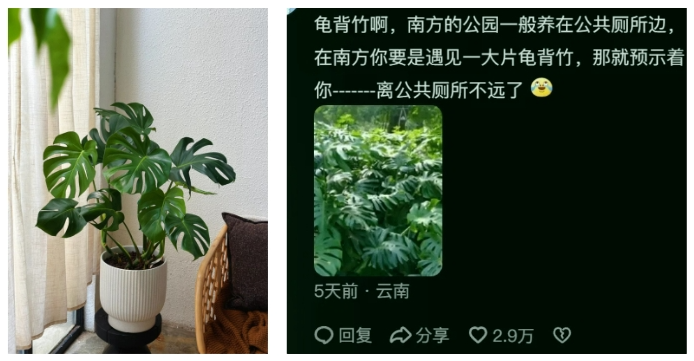 致富经淡水鱼去刺机_捕昂刺鱼机器_捕汪刺鱼机器原理