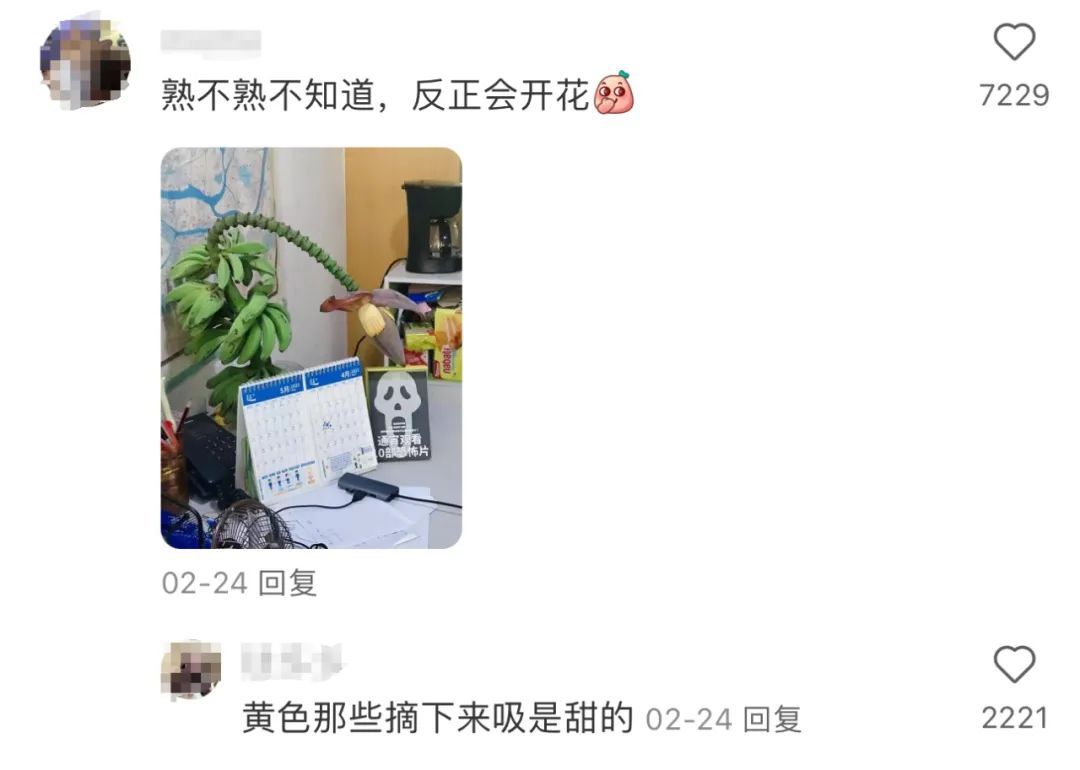 捕汪刺鱼机器原理_致富经淡水鱼去刺机_捕昂刺鱼机器