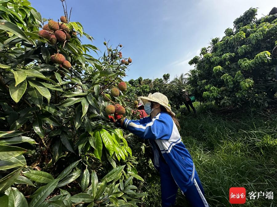 种植致富故事_种植致富事例_致富例子