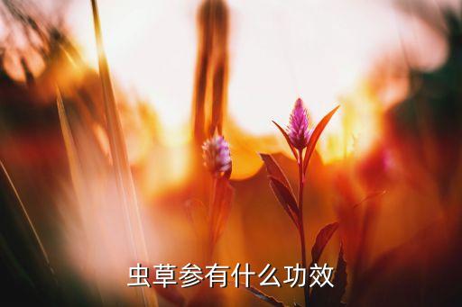 虫草参有什么功效