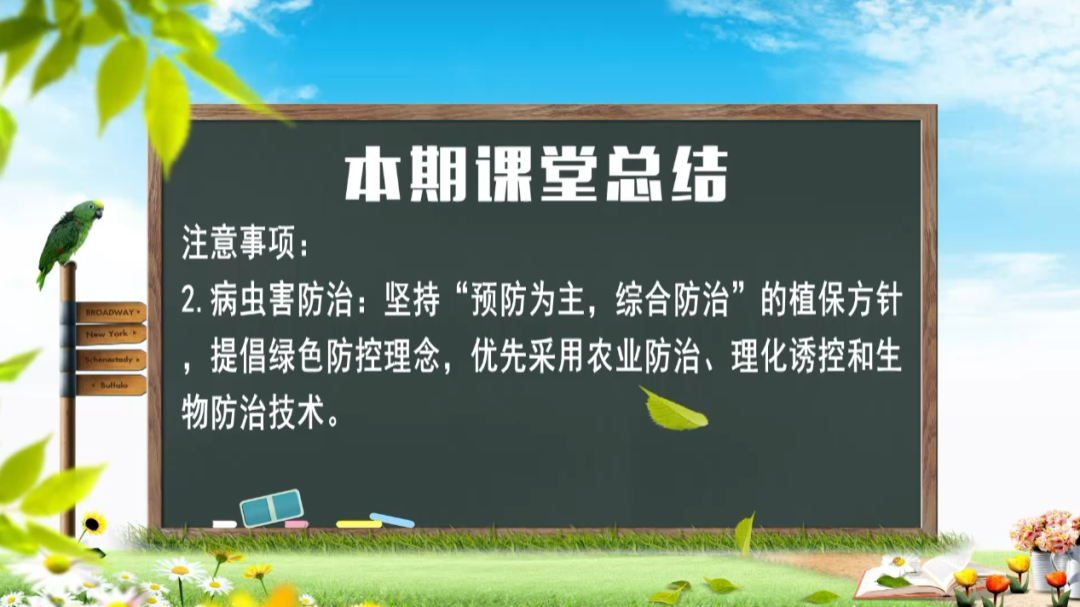 地冬瓜种植_地冬瓜怎样管理才能高产_地东瓜种植技术