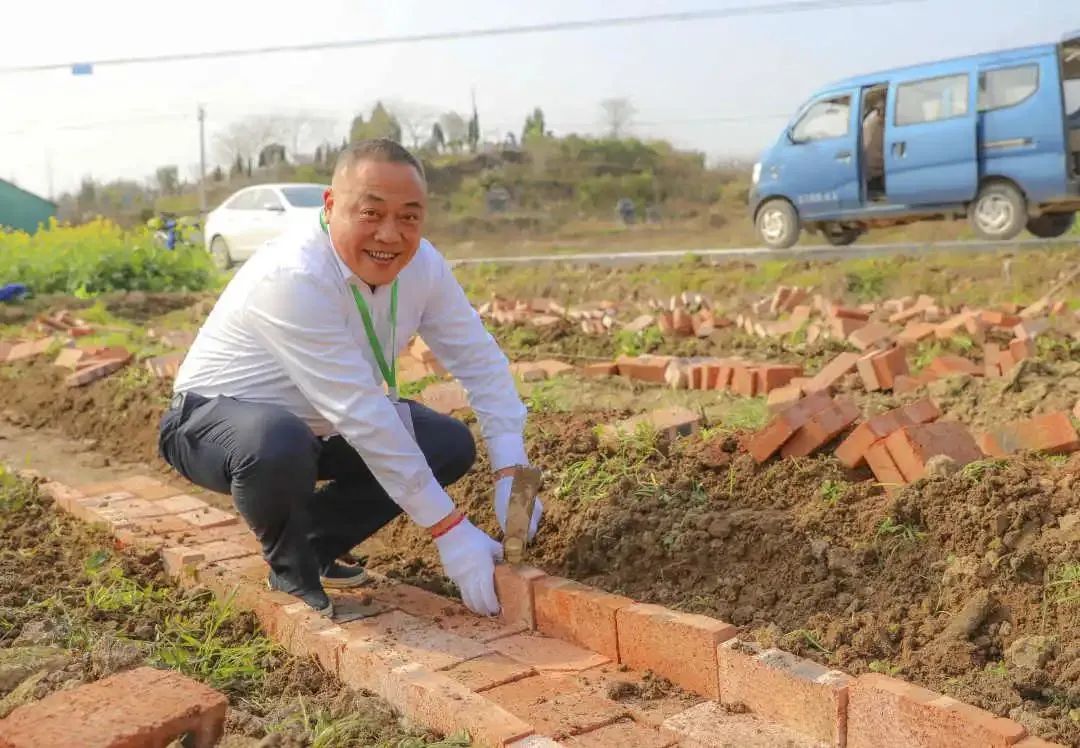 衢州种植致富_衢州蔬菜种子公司_衢州大棚蔬菜种植基地