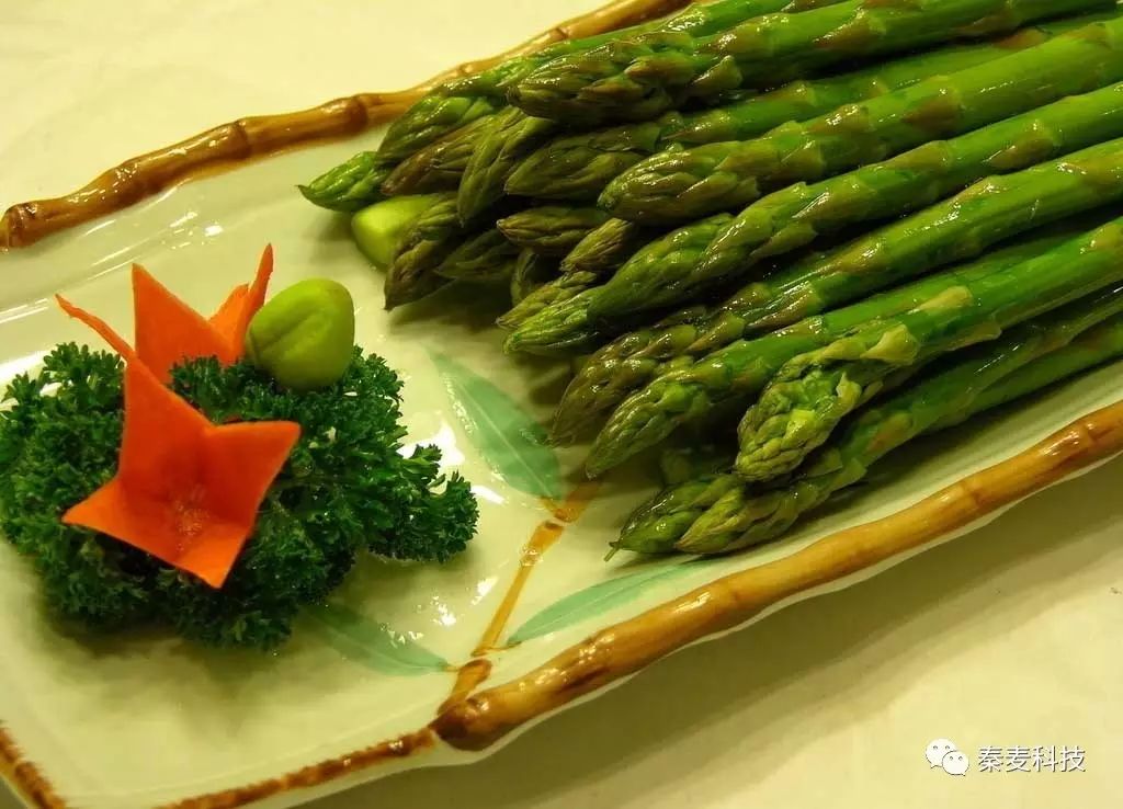 食用种植芦笋技术要点_食用种植芦笋技术视频_食用芦笋种植技术